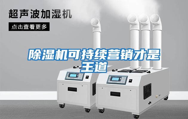 除濕機可持續營(yíng)銷(xiāo)才是王道