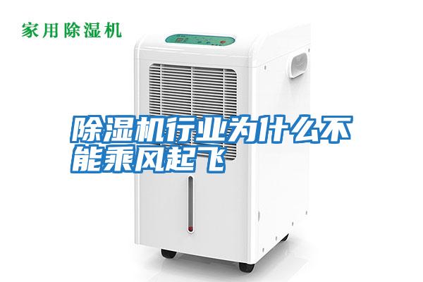除濕機行業(yè)為什么不能乘風(fēng)起飛
