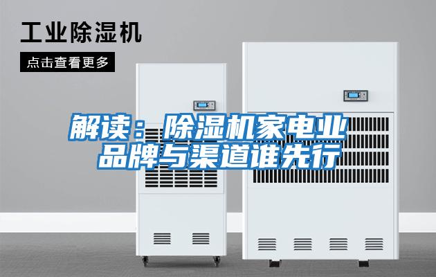 解讀：除濕機家電業(yè) 品牌與渠道誰(shuí)先行