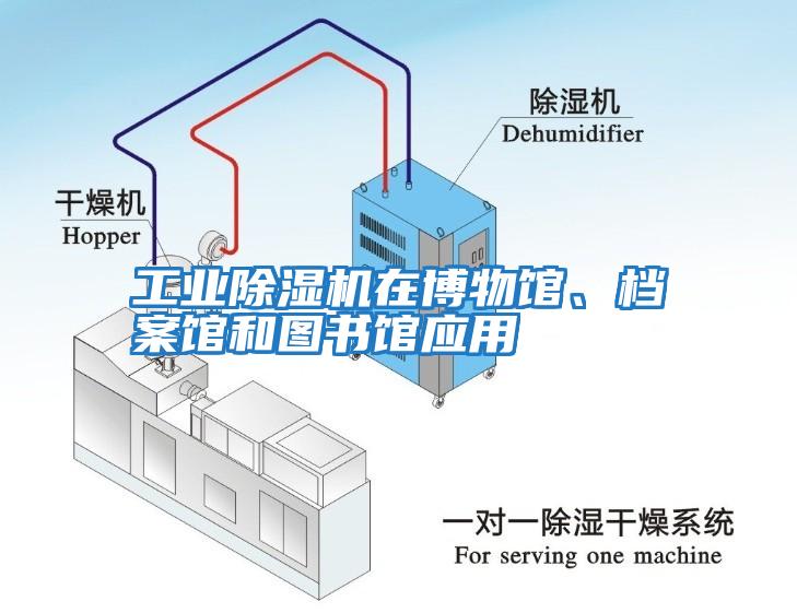 工業(yè)除濕機在博物館、檔案館和圖書(shū)館應用