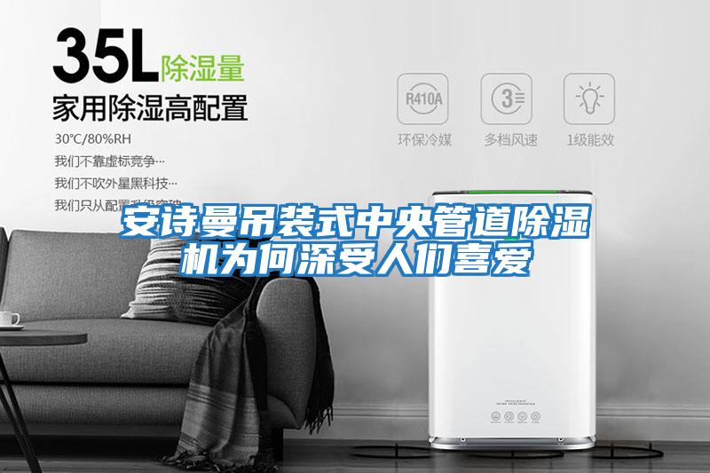 安詩(shī)曼吊裝式中央管道除濕機為何深受人們喜愛(ài)