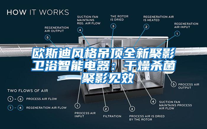 歐斯迪風(fēng)格吊頂全新聚影衛浴智能電器：干燥殺菌 聚影見(jiàn)效