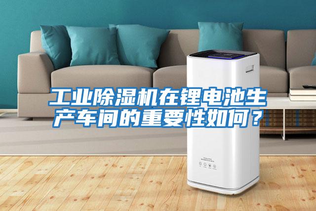 工業(yè)除濕機在鋰電池生產(chǎn)車(chē)間的重要性如何？