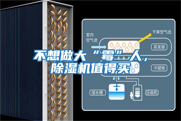 不想做大“霉”人，除濕機值得買(mǎi)