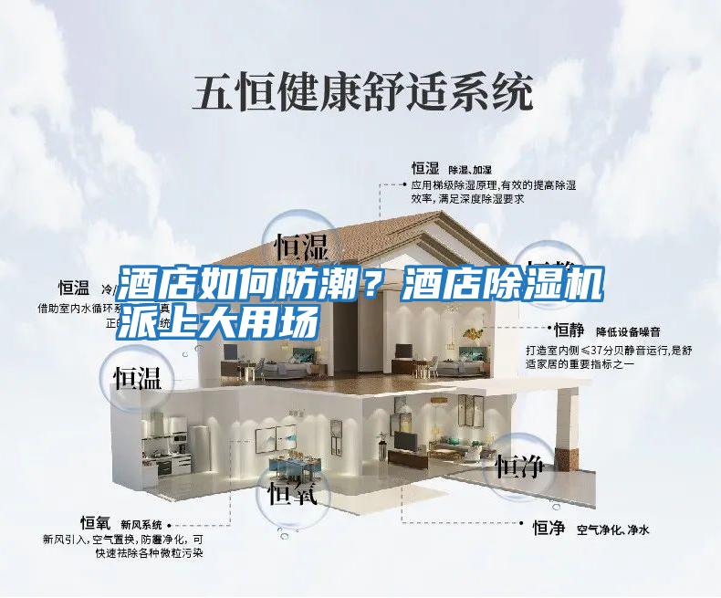 酒店如何防潮？酒店除濕機派上大用場(chǎng)