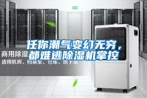 任你潮氣變幻無(wú)窮，都難逃除濕機掌控