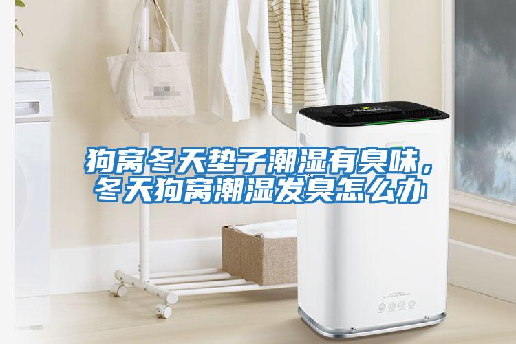 狗窩冬天墊子潮濕有臭味，冬天狗窩潮濕發(fā)臭怎么辦