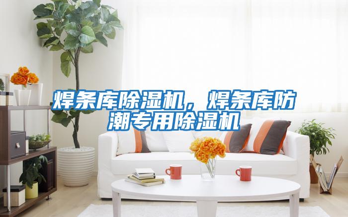 焊條庫除濕機，焊條庫防潮專(zhuān)用除濕機