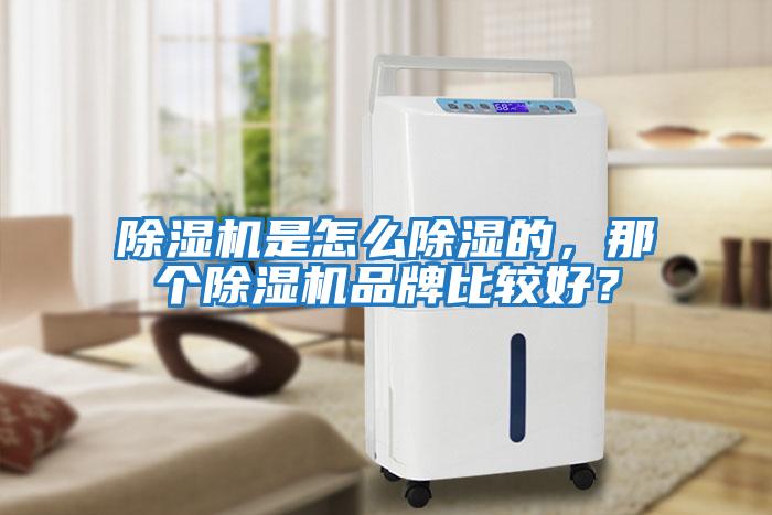 除濕機是怎么除濕的，那個(gè)除濕機品牌比較好？