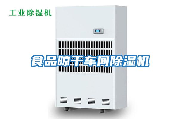 食品晾干車(chē)間除濕機