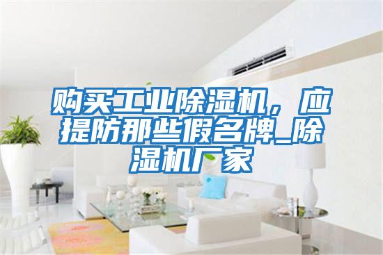 購買(mǎi)工業(yè)除濕機，應提防那些假名牌_除濕機廠(chǎng)家