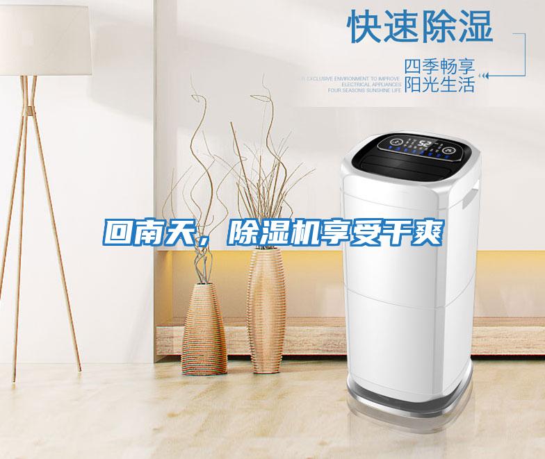 回南天，除濕機享受干爽