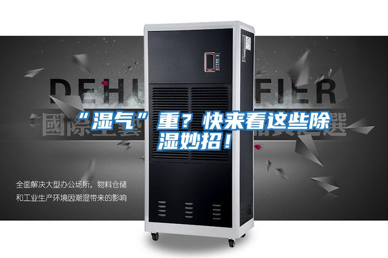 “濕氣”重？快來(lái)看這些除濕妙招！