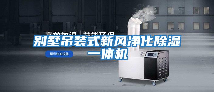 別墅吊裝式新風(fēng)凈化除濕一體機