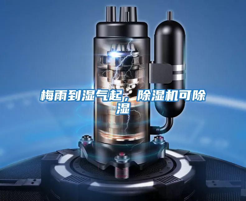 梅雨到濕氣起，除濕機可除濕