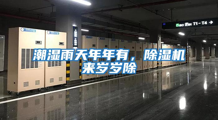 潮濕雨天年年有，除濕機來(lái)歲歲除