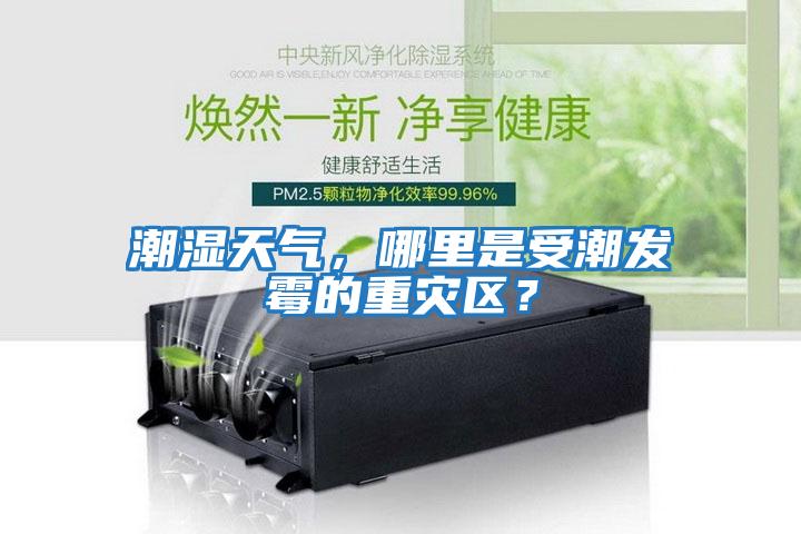 潮濕天氣，哪里是受潮發(fā)霉的重災區？