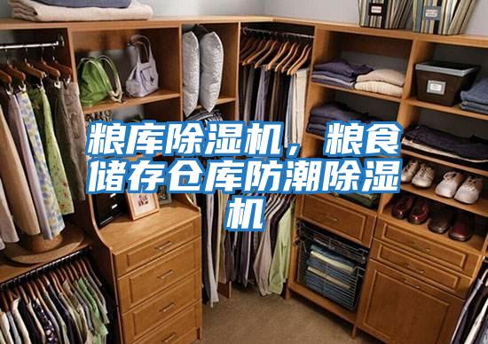 糧庫除濕機，糧食儲存倉庫防潮除濕機