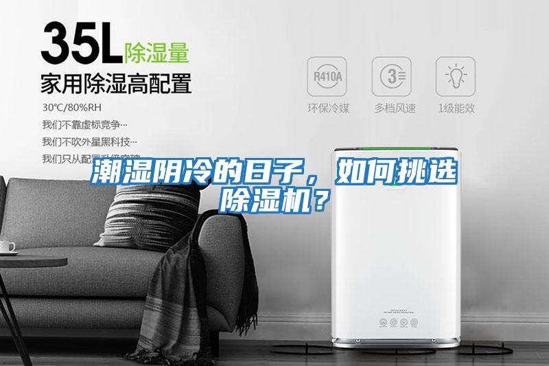 潮濕陰冷的日子，如何挑選除濕機？