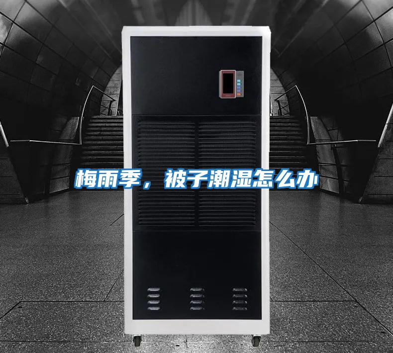 梅雨季，被子潮濕怎么辦