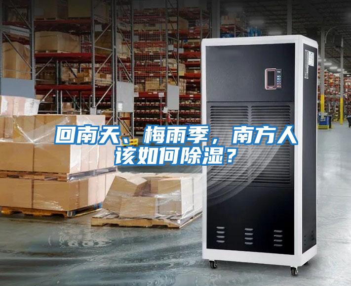 回南天、梅雨季，南方人該如何除濕？