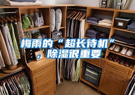 梅雨的“超長(cháng)待機”，除濕很重要
