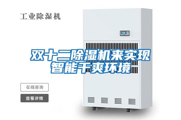 雙十二除濕機來(lái)實(shí)現智能干爽環(huán)境