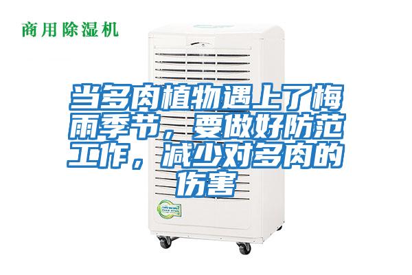 當多肉植物遇上了梅雨季節，要做好防范工作，減少對多肉的傷害