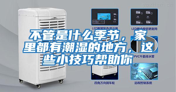 不管是什么季節，家里都有潮濕的地方，這些小技巧幫助你