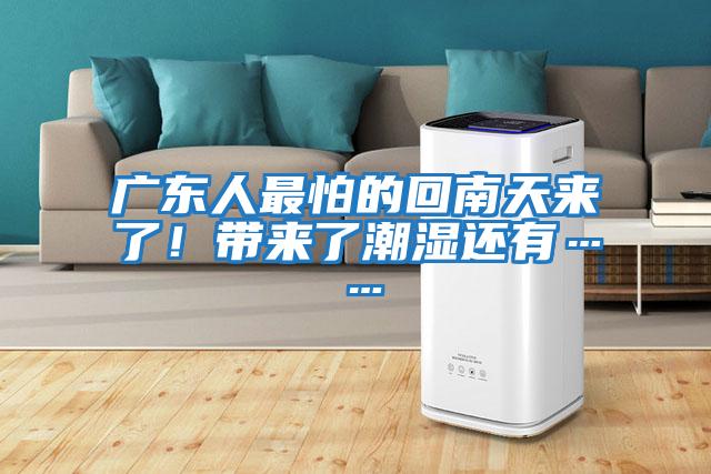 廣東人最怕的回南天來(lái)了！帶來(lái)了潮濕還有……