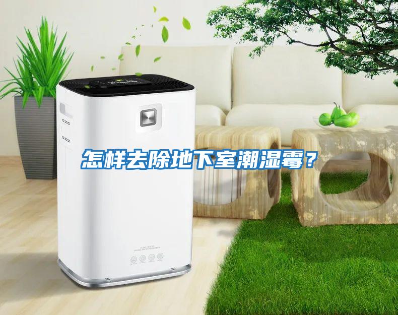 怎樣去除地下室潮濕霉？