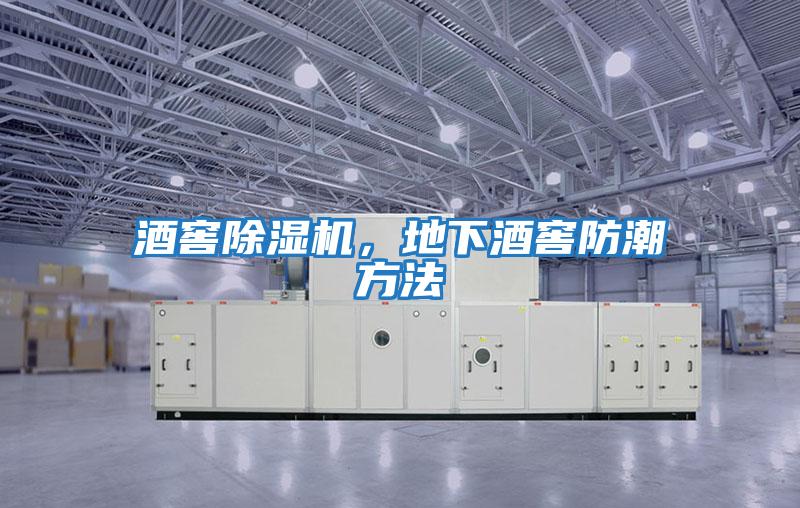 酒窖除濕機，地下酒窖防潮方法