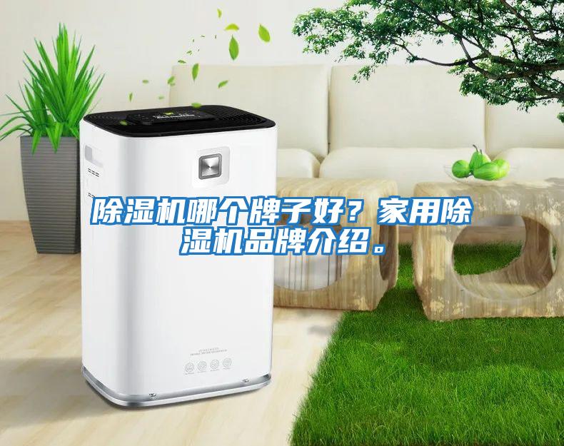 除濕機哪個(gè)牌子好？家用除濕機品牌介紹。