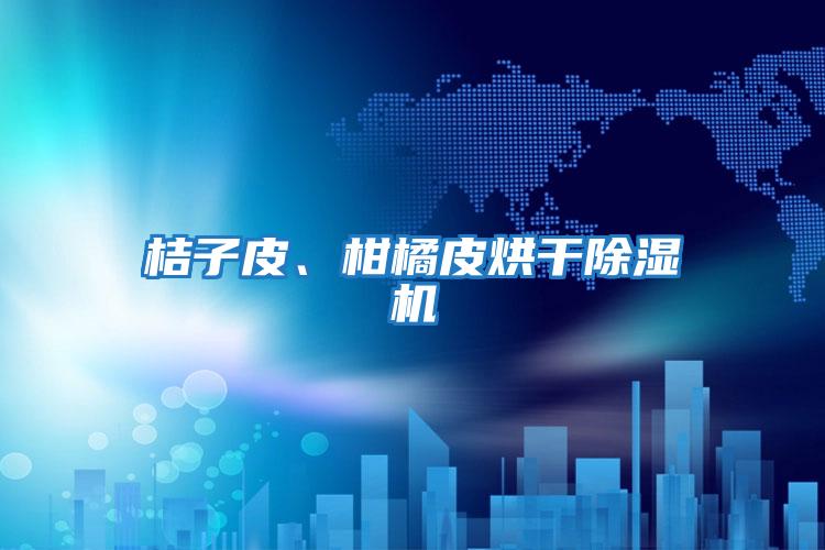 桔子皮、柑橘皮烘干除濕機
