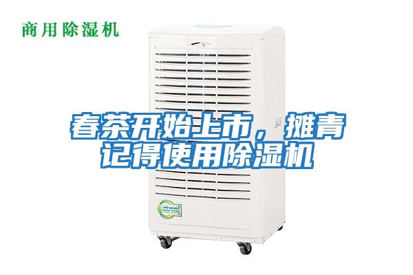 春茶開(kāi)始上市，攤青記得使用除濕機