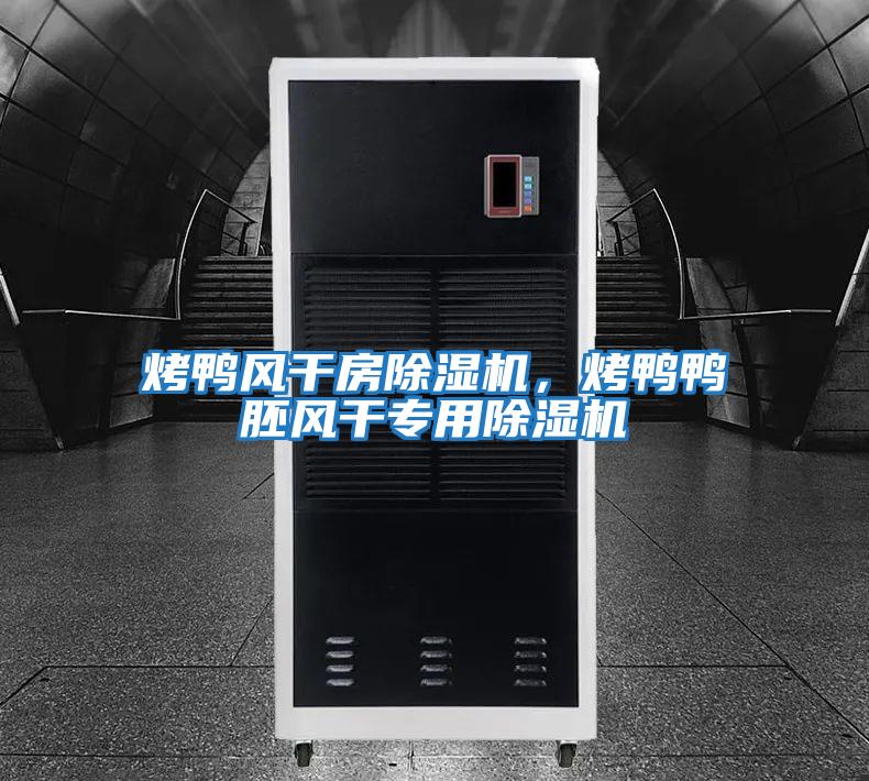烤鴨風(fēng)干房除濕機，烤鴨鴨胚風(fēng)干專(zhuān)用除濕機