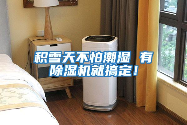 積雪天不怕潮濕 有除濕機就搞定！