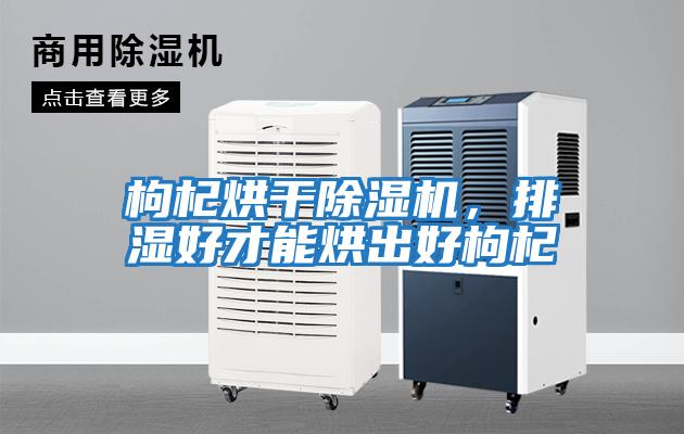 枸杞烘干除濕機，排濕好才能烘出好枸杞