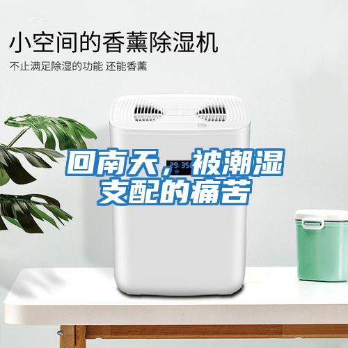 回南天，被潮濕支配的痛苦