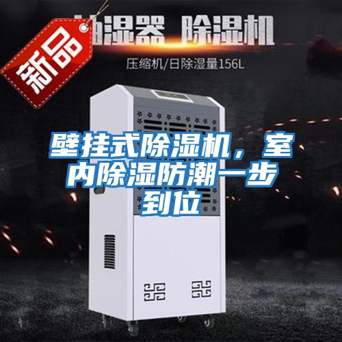 壁掛式除濕機，室內除濕防潮一步到位