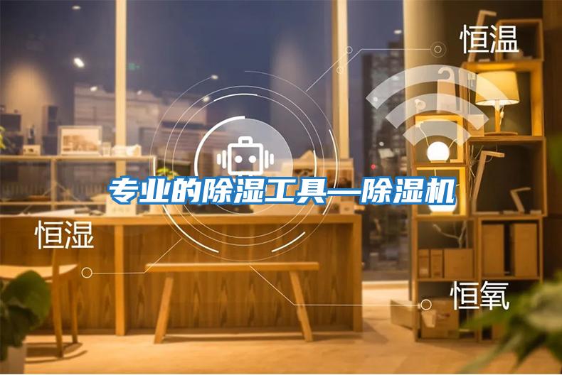 專(zhuān)業(yè)的除濕工具—除濕機