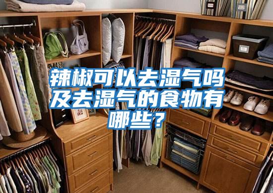 辣椒可以去濕氣嗎及去濕氣的食物有哪些？