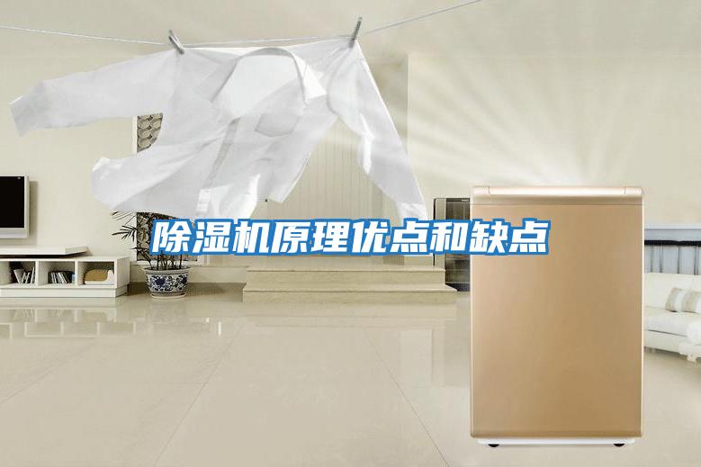 除濕機原理優(yōu)點(diǎn)和缺點(diǎn)