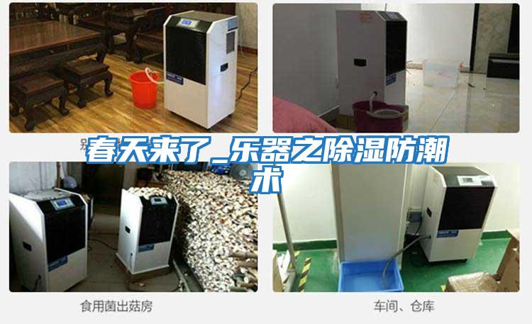 春天來(lái)了_樂(lè )器之除濕防潮術(shù)