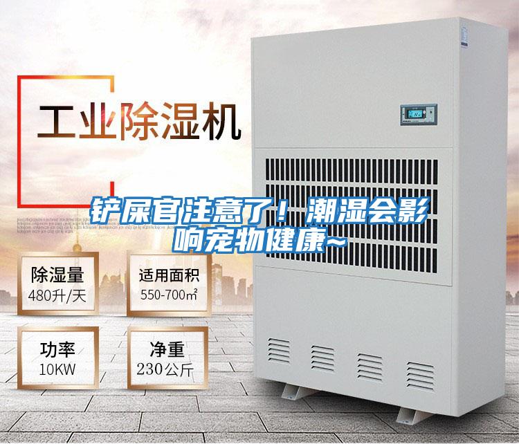 鏟屎官注意了！潮濕會(huì )影響寵物健康~