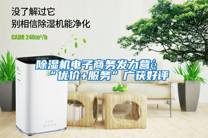 除濕機電子商務(wù)發(fā)力營(yíng)銷(xiāo)“優(yōu)價(jià)+服務(wù)”廣獲好評
