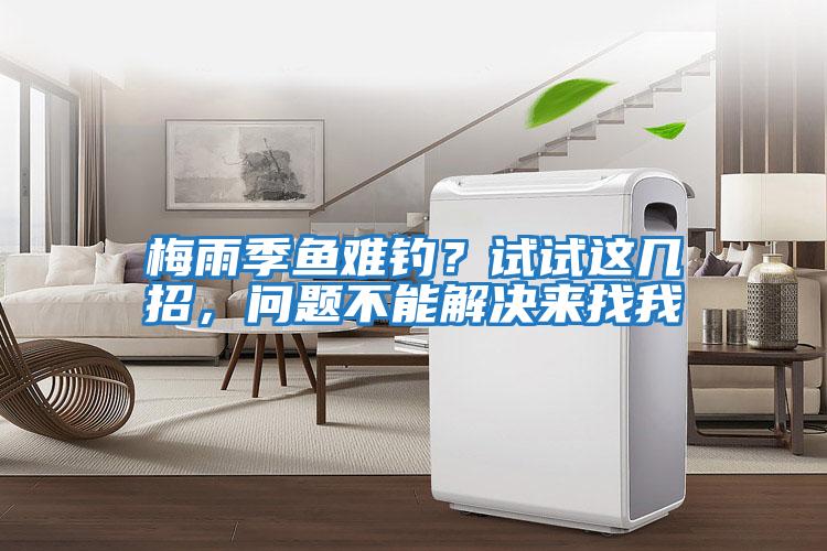 梅雨季魚(yú)難釣？試試這幾招，問(wèn)題不能解決來(lái)找我