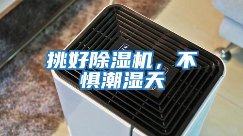 挑好除濕機，不懼潮濕天
