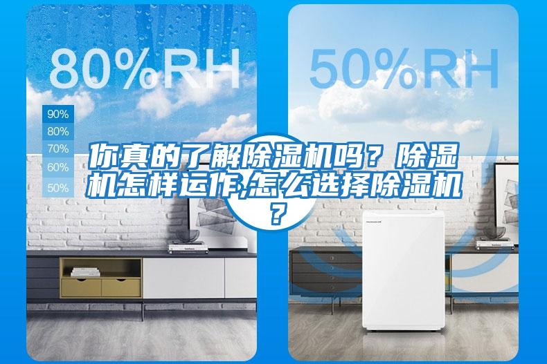 你真的了解除濕機嗎？除濕機怎樣運作,怎么選擇除濕機？