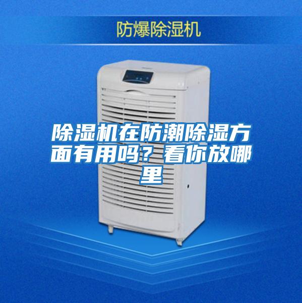 除濕機在防潮除濕方面有用嗎？看你放哪里